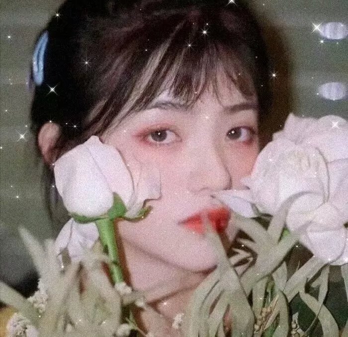 拜见宫主大人 海报