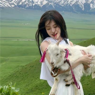 东北狠人沙猩猩 海报